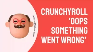 Crunchyroll 'Oops something went wrong'