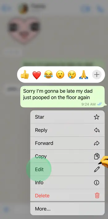 Message Edit feature in WhatsApp