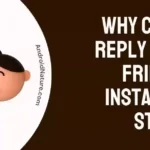 Why Can't I Reply to My friend's Instagram Story