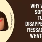 Why would someone turn on disappearing messages on WhatsApp