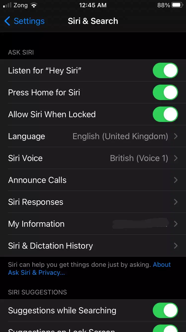 Enable Siri Settings in iPhone