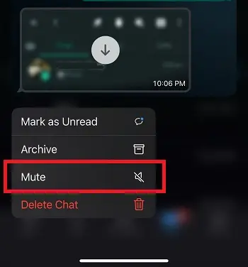 mute chat in Whatsapp ios