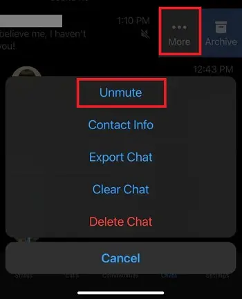 unmute someone on WhatsApp iOS