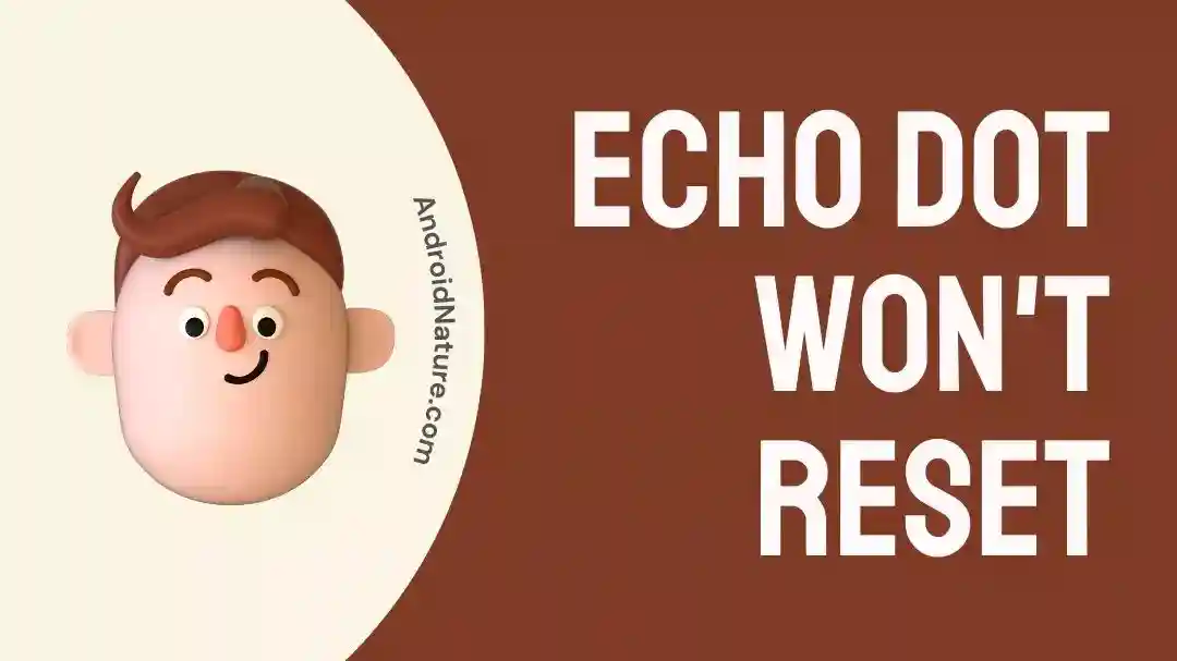 Echo Dot won't Reset