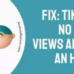 Fix TikTok No or 0 Views After an Hour