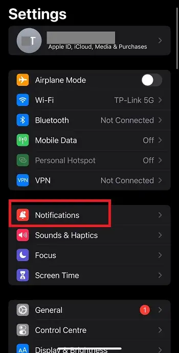 Notification option in iPhone Settings