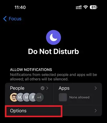 'Options' in Do not disturb Settings on iPhone