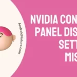 NVIDIA Control Panel Display Settings Missing