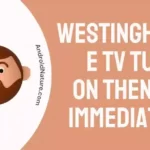 Westinghouse TV Turns On Then Off Immediately