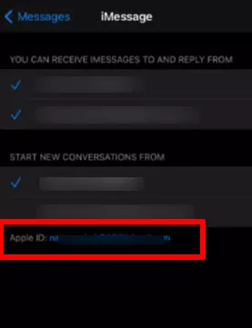 Apple ID's link in iPhone settings