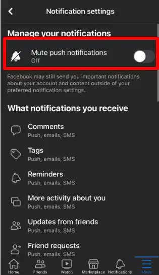Toggle off the Mute Push Notifications