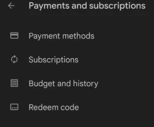 payment and subscription option