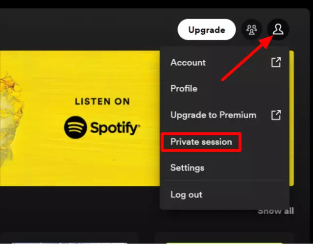 Private Session feature in Spotify