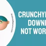 Crunchyroll Download not working