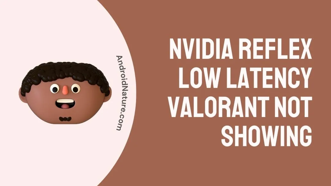 Nvidia reflex low latency valorant not showing