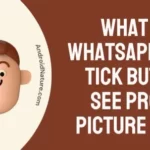 What does Whatsapp one tick but can see profile picture mean