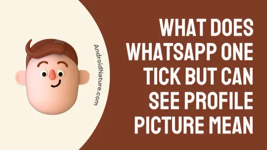 What does Whatsapp one tick but can see profile picture mean