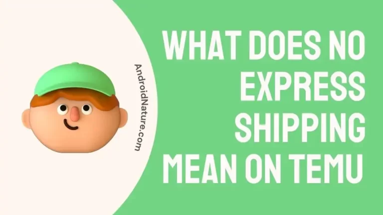 What does no express shipping mean on Temu 