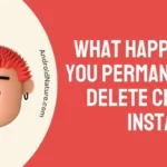 What happens if you permanently delete chat on Instagram
