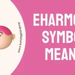 eHarmony Symbols Meaning