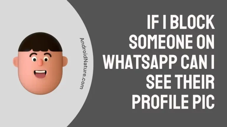 if i block someone on whatsapp can i see their profile pic