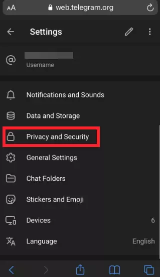 "Privacy and Security" in Telegram Web