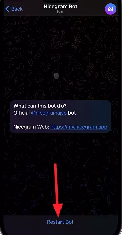 Restart Nicegram Bot