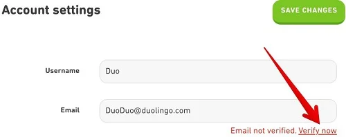 Duolingo email verify