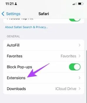 Select-the-extensions-option