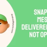 Snapchat message delivered but not opened