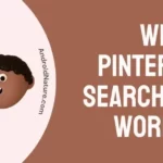 Why is Pinterest Search Not Working