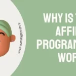 Why is Temu affiliate program not working