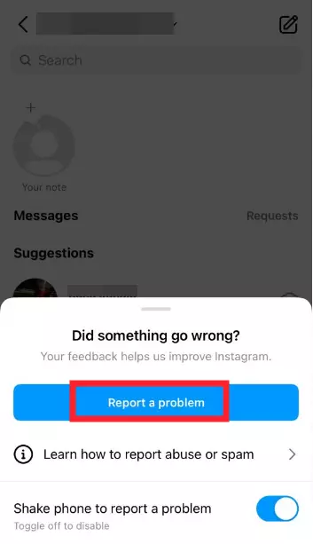 "Report a Problem" in Instagram App