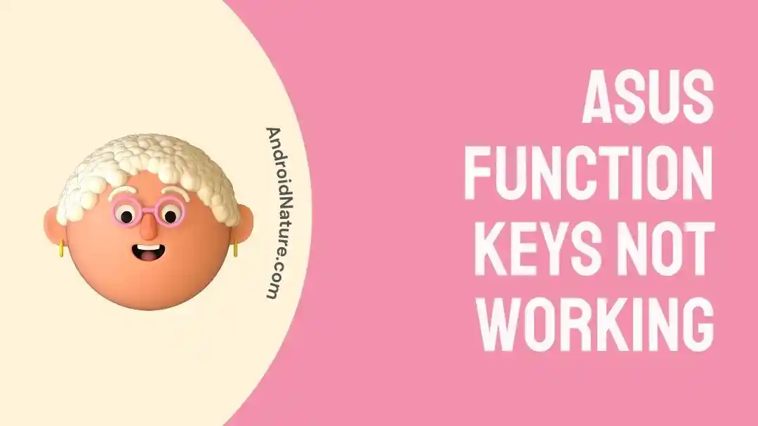 ASUS Function Keys Not Working