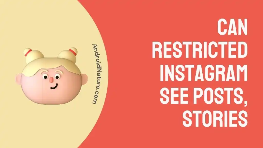 Can restricted Instagram see posts, stories