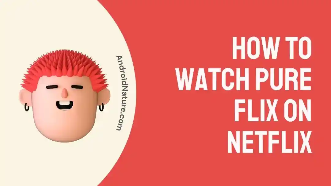 How to watch pure flix on Netflix