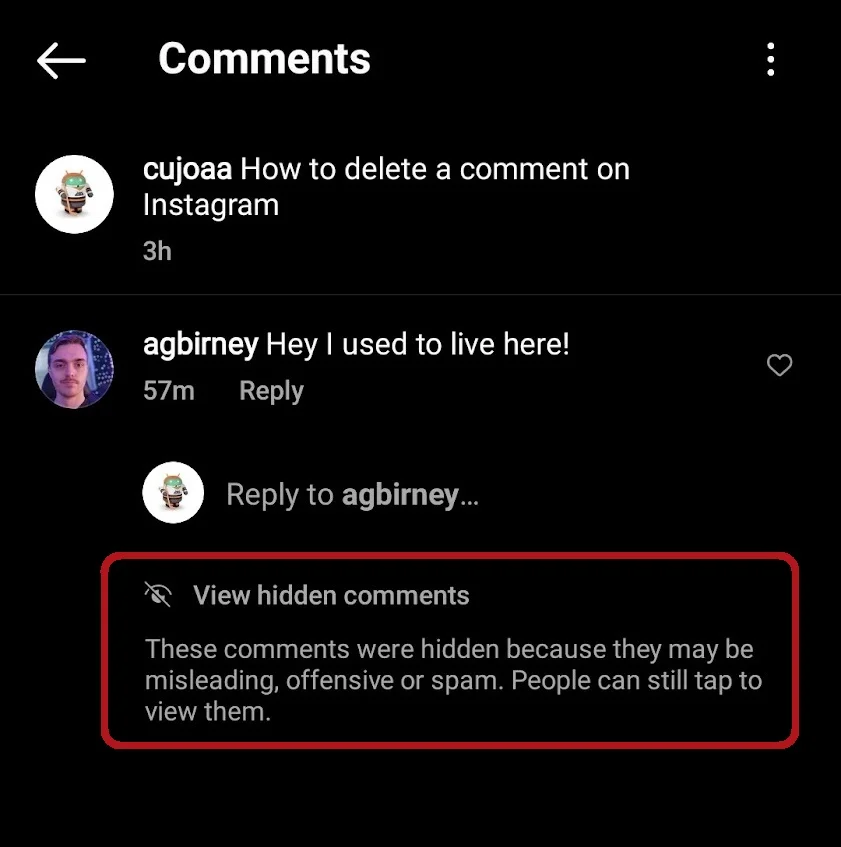 See hidden comments