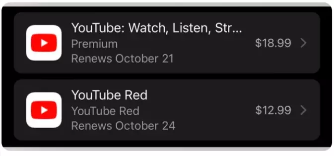 YouTube User Charged for Both Premium and Red Services