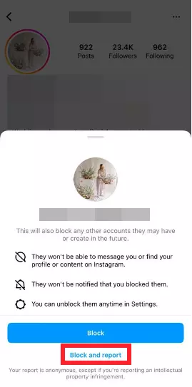 Block and Report feature on Instagram
