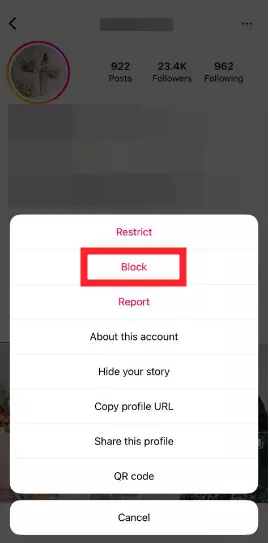 Block feature on Instagram