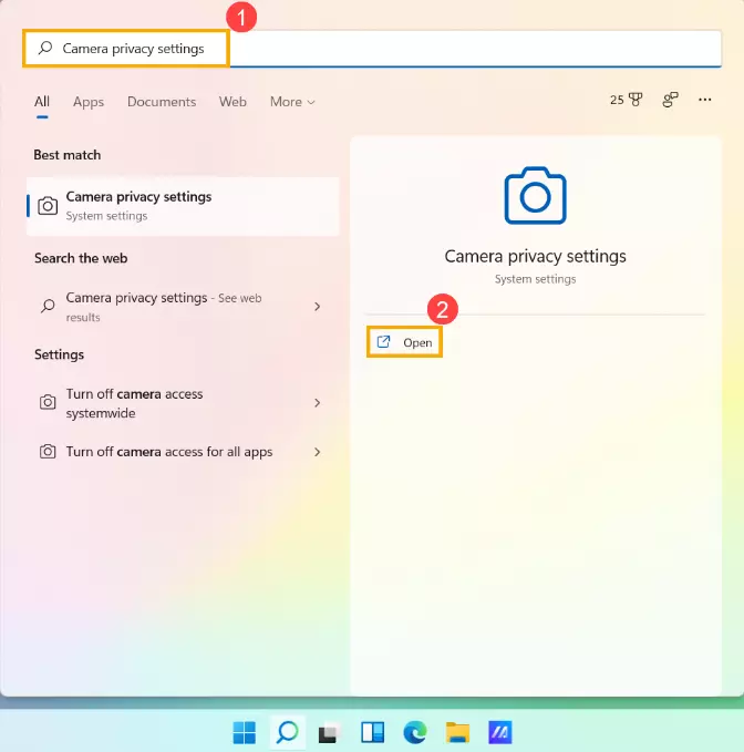 Camera Privacy Settings in Windows 11