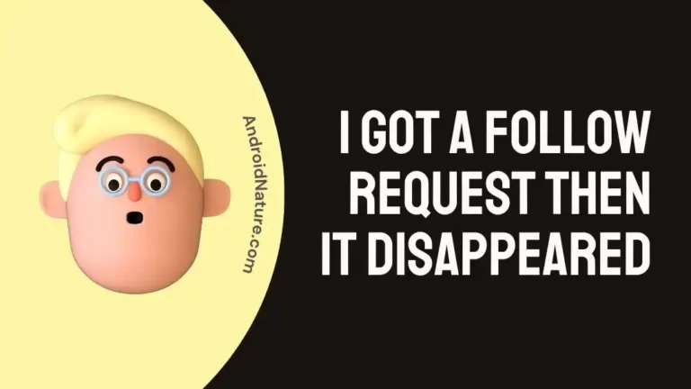 i got a follow request then it disappeared