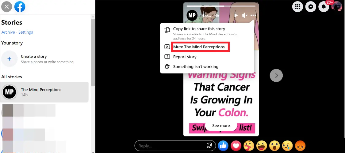 Mute Story on Facebook Web