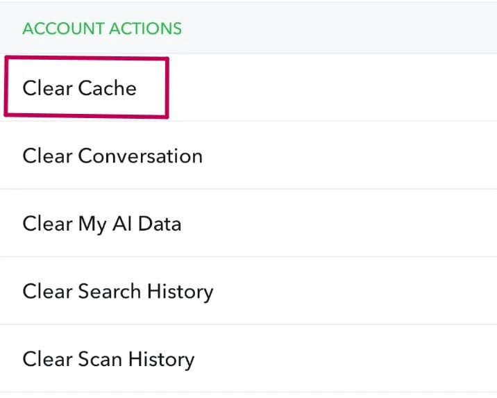 Snapchat Clear Cache Interface
