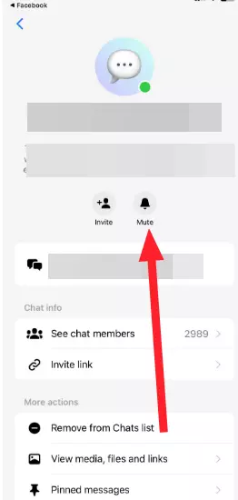Mute Feature in Messenger