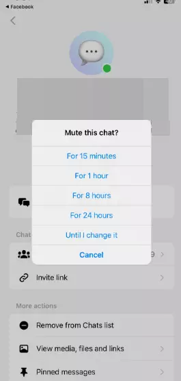 Time Limit for Mute Feature