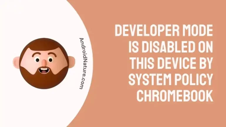 Developer Mode Is Disabled On This Device By System Policy Chromebook