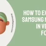 How to Export Samsung Notes in Vector Format