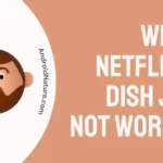 Why Is Netflix On Dish Joey Not Working