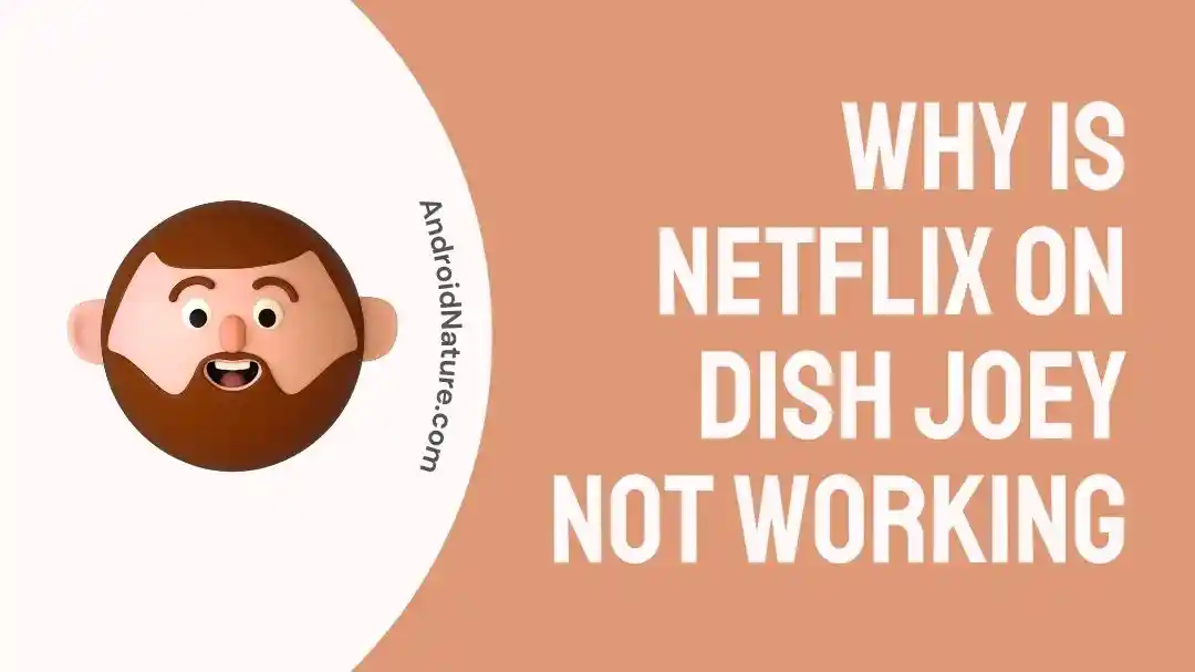 Why Is Netflix On Dish Joey Not Working